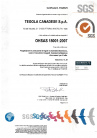 OHSAS_18001_гибкая_черепица_TEGOLA